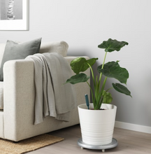 Load image into Gallery viewer, IKEA Plant Watering Sensor
