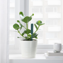 Load image into Gallery viewer, IKEA Plant Watering Sensor
