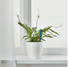 Load image into Gallery viewer, IKEA Plant Watering Sensor
