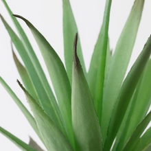 Load image into Gallery viewer, IKEA Artificial Plant
