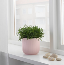 Load image into Gallery viewer, IKEA Plant Pot, Pink, 12 cm
