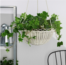 Load image into Gallery viewer, IKEA Hanging Planter, In/Outdoor, White, 27 cm
