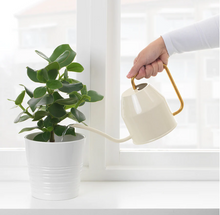 Load image into Gallery viewer, IKEA Watering Can, ivory/ Gold-color, 0.9 liter
