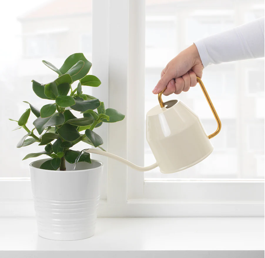 IKEA Watering Can, ivory/ Gold-color, 0.9 liter